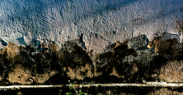 Does Rendering Stop Damp What Leicester Homeowners Need to Know