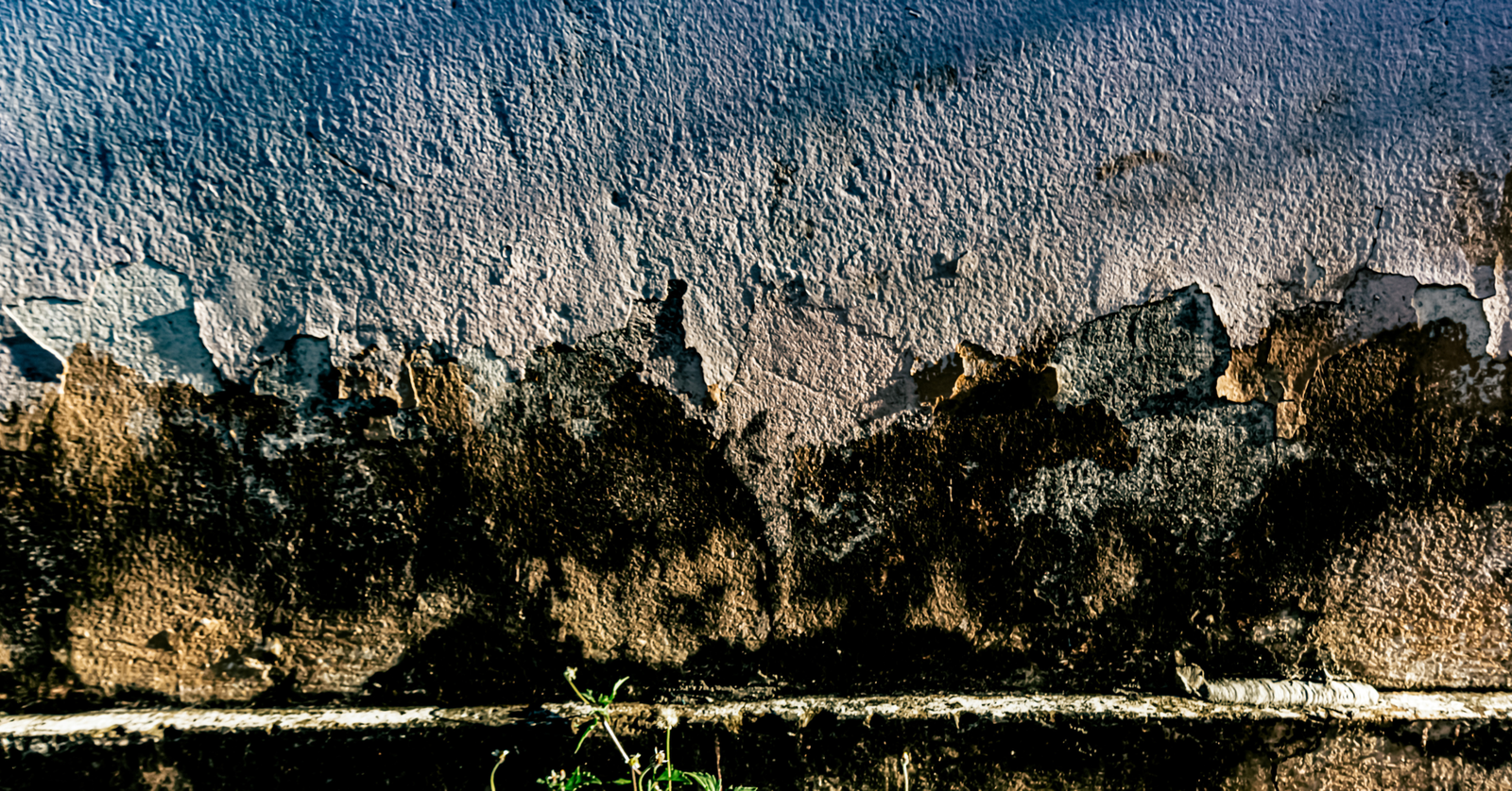 Does Rendering Stop Damp What Leicester Homeowners Need to Know