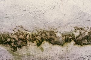 What Causes Damp in Leicester Homes